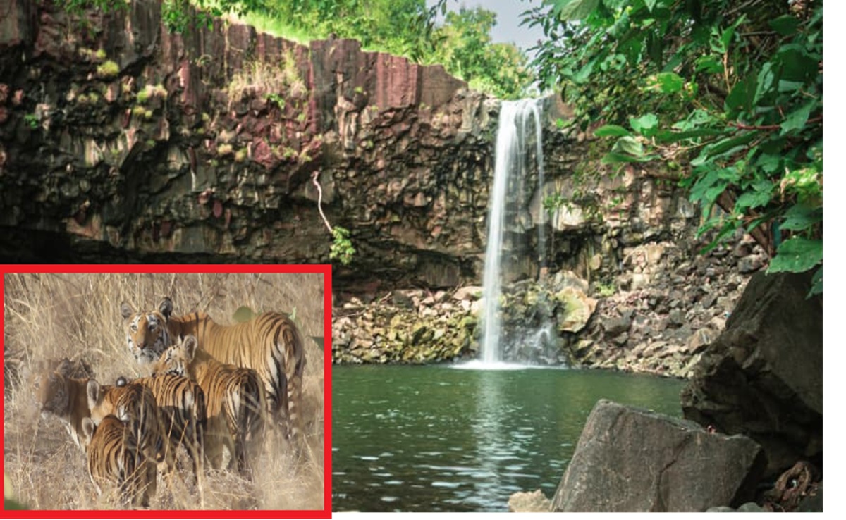 Khiwani Sanctuary: खिवनी MP का नया इको टूरिज्म स्पॉट; स्थानीय युवाओं को रोजगार, देखें ये दर्शनीय स्थल