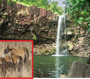 Khiwani Sanctuary: खिवनी MP का नया इको टूरिज्म स्पॉट; स्थानीय युवाओं को रोजगार, देखें ये दर्शनीय स्थल