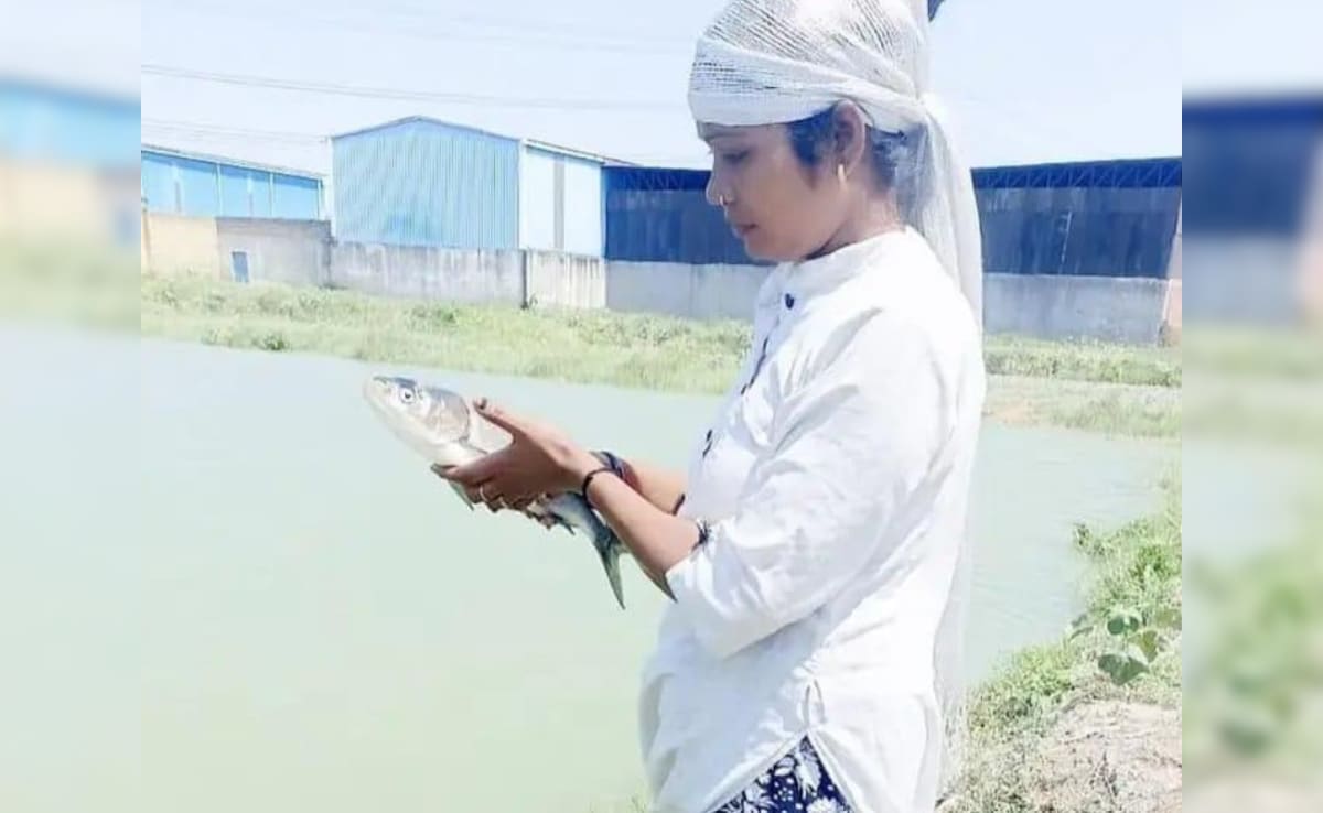 Latest and Breaking News on NDTV