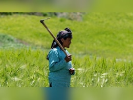 Pradhan Mantri Fasal Bima Yojna: प्रधानमंत्री फसल बीमा योजना क्या है? 50 करोड़ से अधिक किसानों मिल रहा फायदा, जानिए कैसे