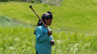 Pradhan Mantri Fasal Bima Yojna: प्रधानमंत्री फसल बीमा योजना क्या है? 50 करोड़ से अधिक किसानों मिल रहा फायदा, जानिए कैसे