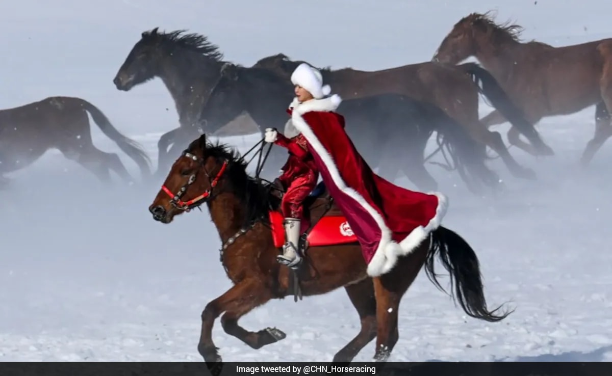 Chinese Official-Influencer Dies After Horse Riding Accident During Agri Promo Shoot