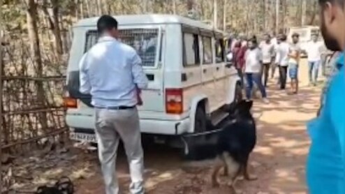 'लोग मुझे मार डालेंगे', जंगल के सन्नाटे में सिंगरौली के लिपिक की रहस्यमयी मौत, मां को भेजा मैसेज, फिर लटका मिला शव