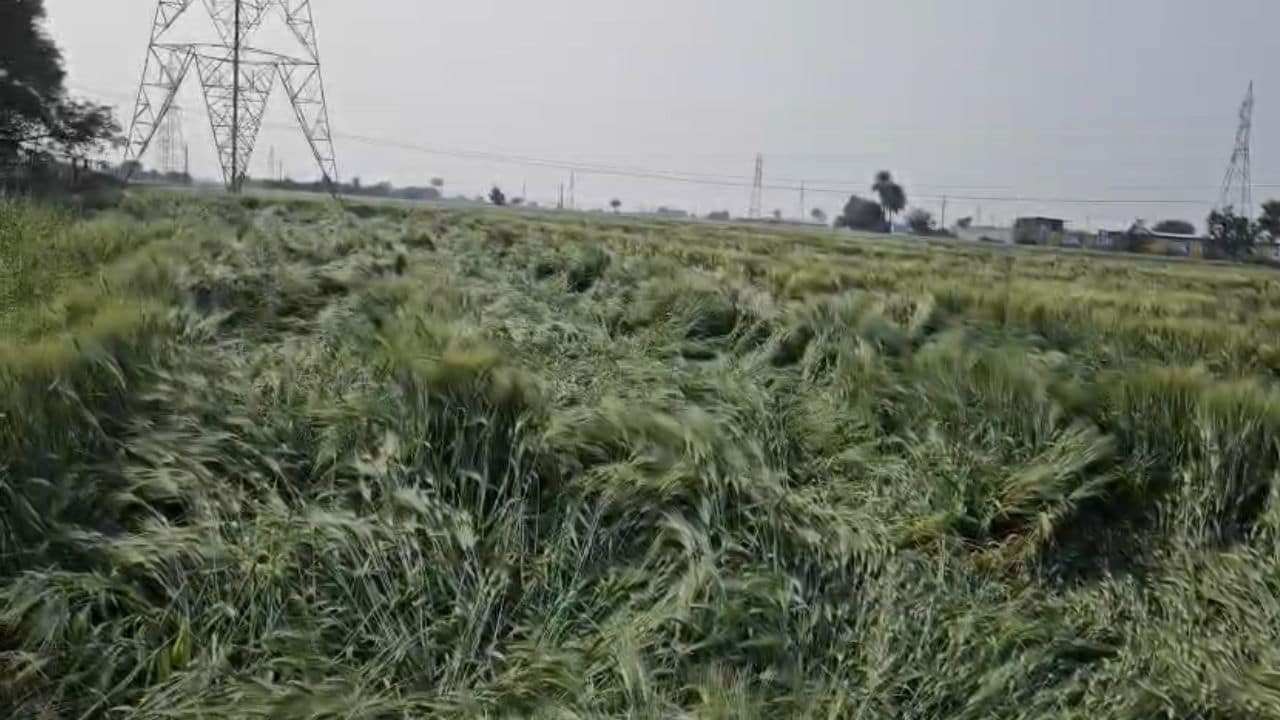 Latest and Breaking News on NDTV