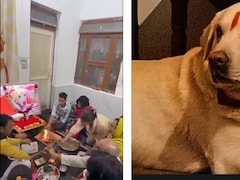 ऐसा देखा क्या कहीं! मुंडन कराया, तेरहवीं भी की, आगरा के इस परिवार का डॉग प्रेम इमोशनल कर देगा