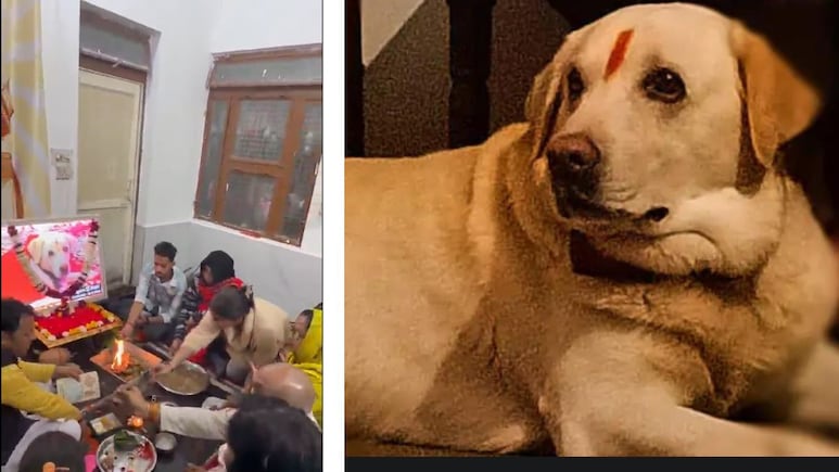 ऐसा देखा क्या कहीं! मुंडन कराया, तेरहवीं भी की, आगरा के इस परिवार का डॉग प्रेम इमोशनल कर देगा