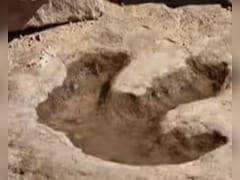 13 करोड़ साल पुराना रहस्य आया बाहर, देखते ही वैज्ञानिक भी चौंक उठे