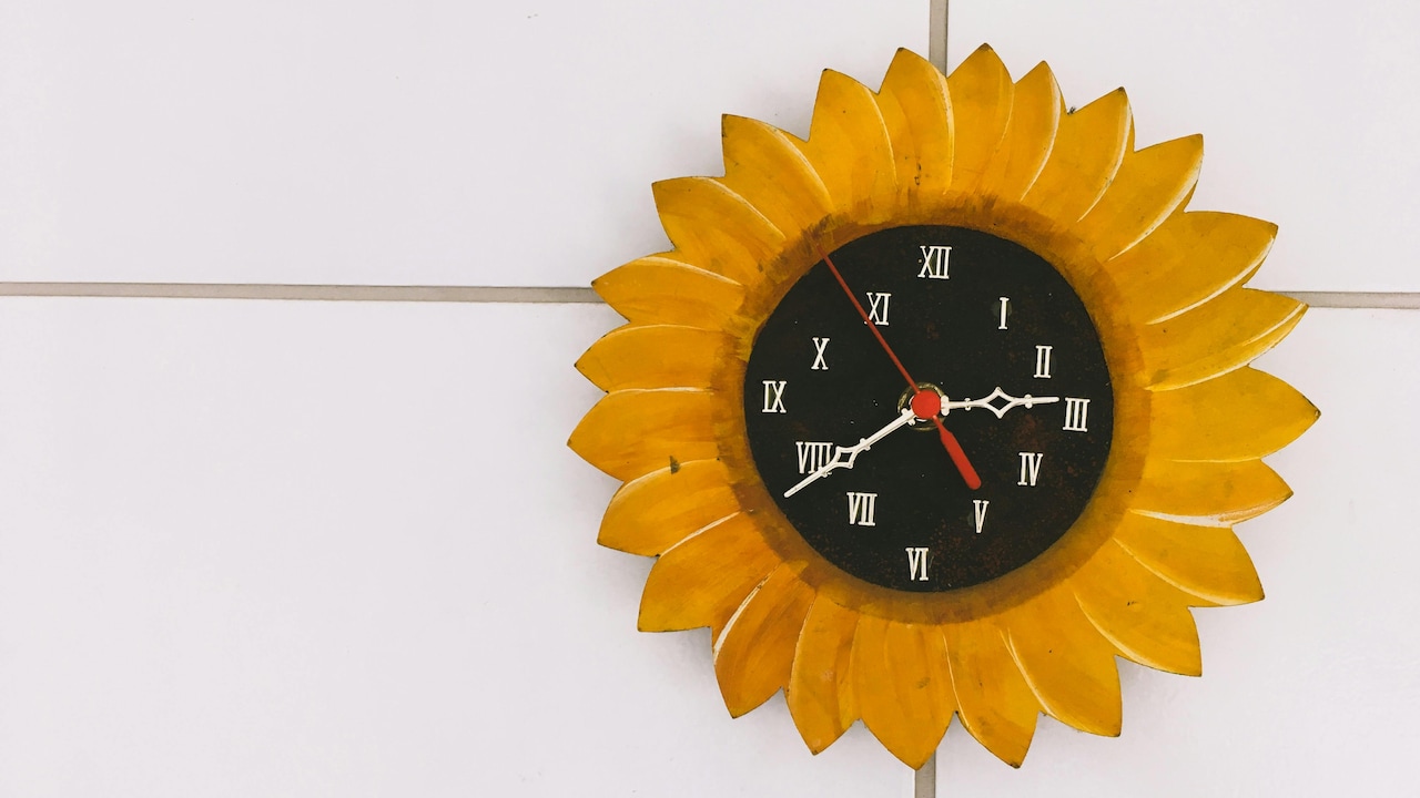 Top 5 Silent Wall Clocks For Peaceful Bedrooms and Study Spaces: Myntra Fashion Carnival.