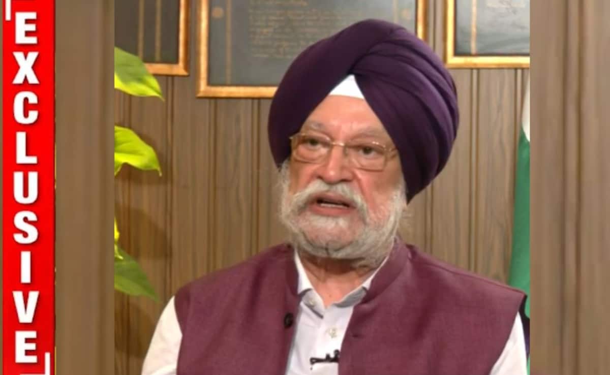NDTV Exclusive: Hardeep Puri On "Exotic Island", "Have Fun" Mails To Epstein