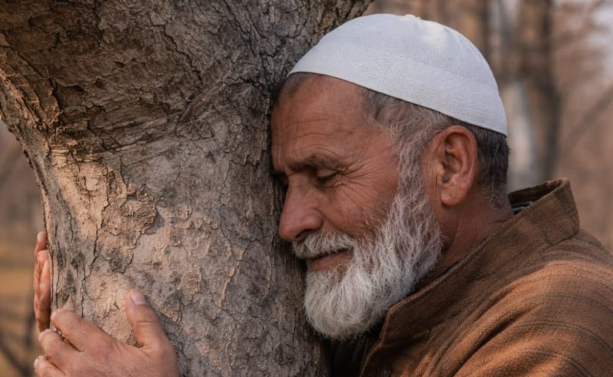 Latest and Breaking News on NDTV Latest and Breaking News on NDTV