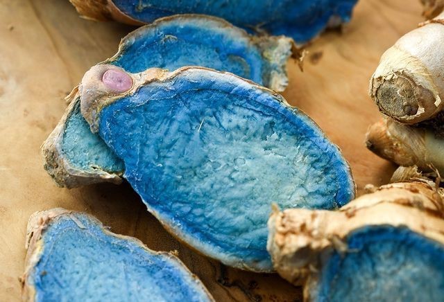 What Is India's Rare Indigo Turmeric, Trending For Surprising Health Benefits