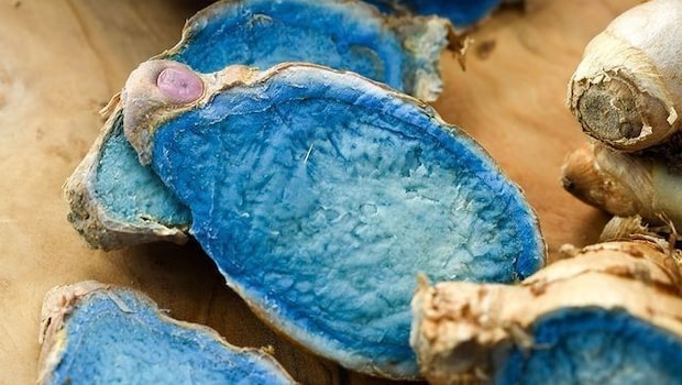 What Is India's Rare Indigo Turmeric, Trending For Its Surprising Health Benefits