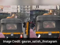 Pune Commuters Stunned As Dog Rides On Autorickshaw Roof In Busy Street
