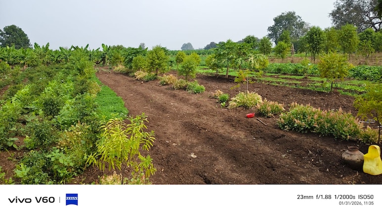 How Will American Farmers Benefit From Trade Deal With India? US Trade Body Explains