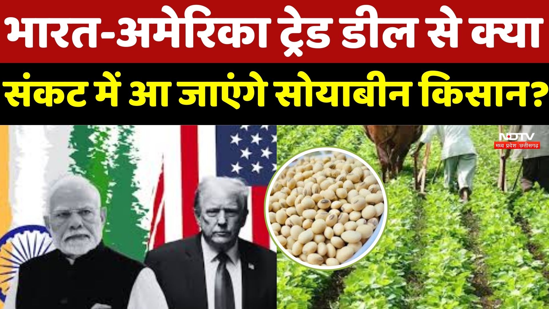 India-US Trade Deal: 'Soybean के कटोरे' में क्यों बढ़ी चिंता? भारत-अमेरिका ट्रेड डील की Ground Report