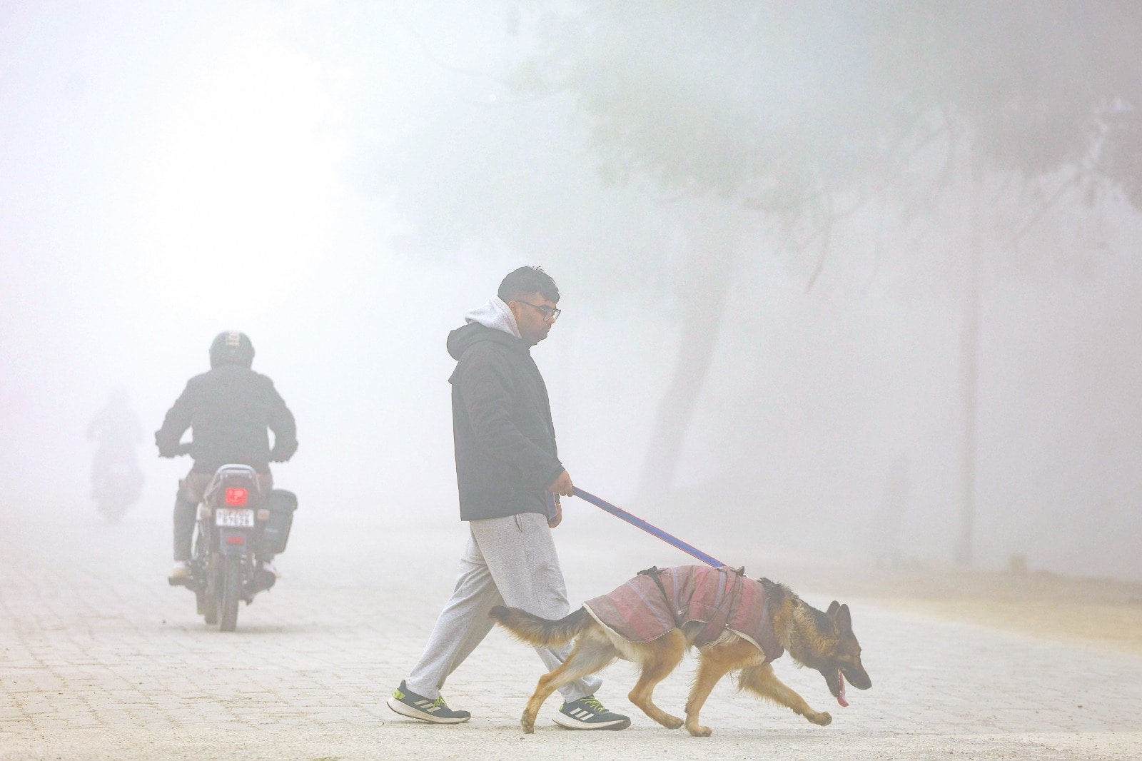 Latest and Breaking News on NDTV