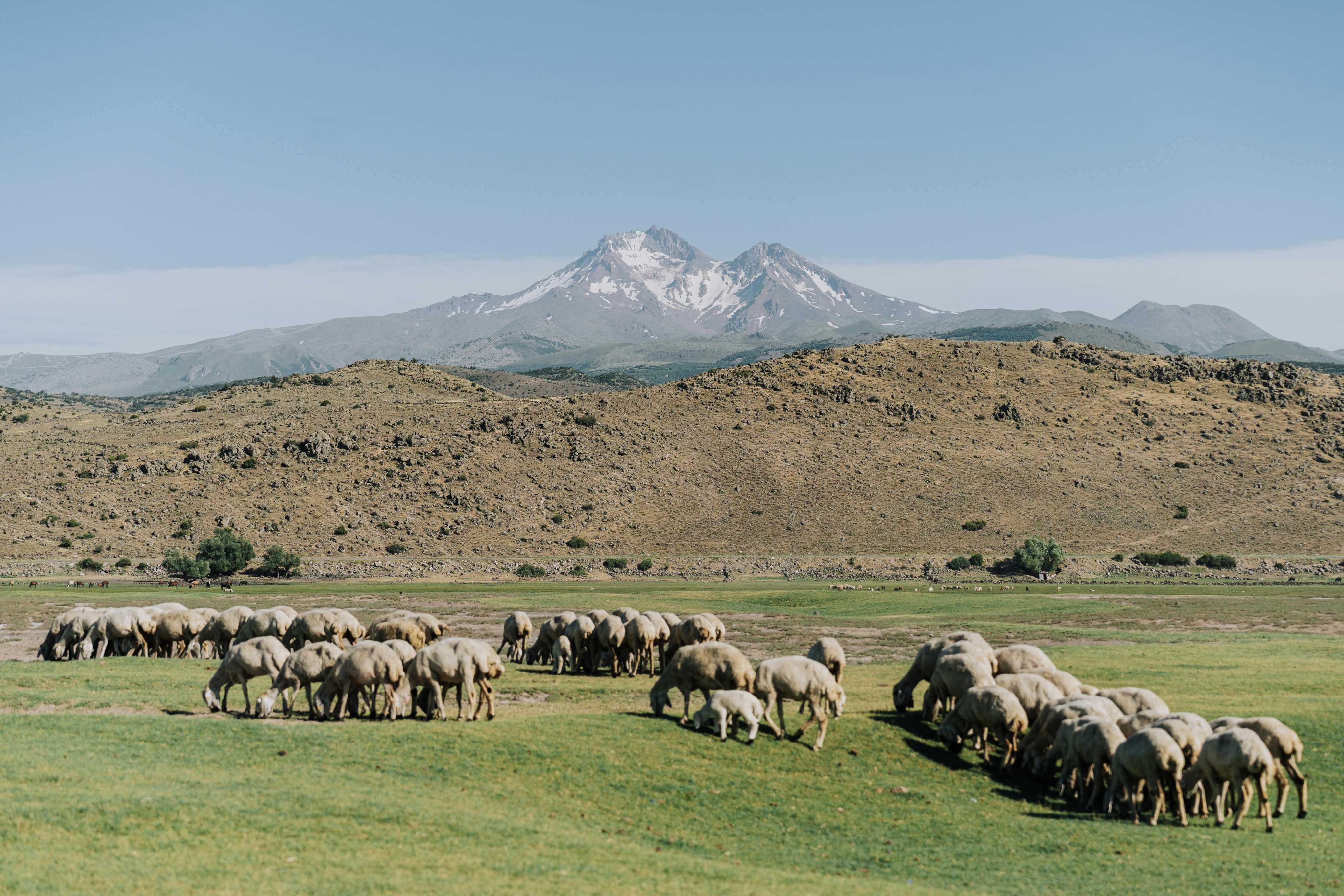 Why Mongolia Is Fast Becoming A Top Travel Pick For Some Over Thailand And Vietnam