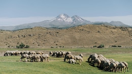 Why Mongolia Is Fast Becoming A Top Travel Pick For Some Over Thailand And Vietnam