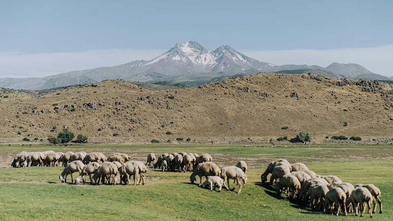 Why Mongolia Is Fast Becoming A Top Travel Pick For Some Over Thailand And Vietnam