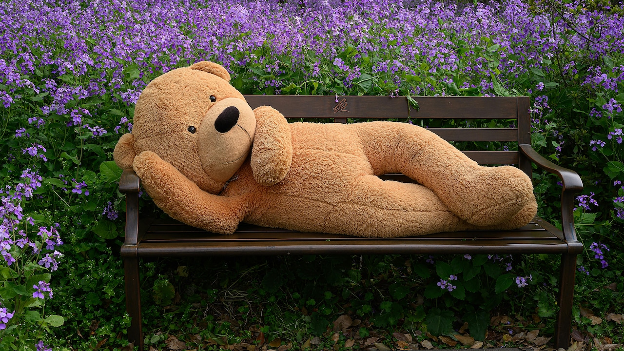 Soft, Sweet And Romantic: Top 5 Giant Teddies On Amazon For Teddy Day 2026