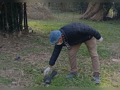 बिहार के कटिहार में बर्ड फ्लू की दस्तक, कौवों की सामूहिक मौत के बाद प्रशासन अलर्ट