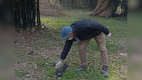 बिहार के कटिहार में बर्ड फ्लू की दस्तक, कौवों की सामूहिक मौत के बाद प्रशासन अलर्ट