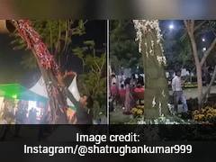 Watch: Public Loot Flowers At Noida Flower Show, Internet Calls Them 