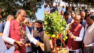 अब एक ही पौधे में मिलेंगे 'टमाटर और आलू' ! शिवराज सिंह ने साझा किया वीडियो