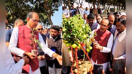 अब एक ही पौधे में मिलेंगे 'टमाटर और आलू' ! शिवराज सिंह चौहान ने वीडियो शेयर कर बताया कैसे?