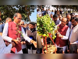 अब एक ही पौधे में मिलेंगे 'टमाटर और आलू' ! शिवराज सिंह चौहान ने वीडियो शेयर कर बताया कैसे?