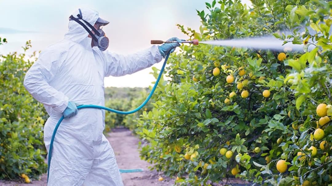 UPL: Restructuring To Unlock Long-Term Value, Says Anand Rathi Maintaining 'Buy' — Check Target Price