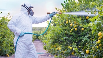 UPL: Restructuring To Unlock Long-Term Value, Says Anand Rathi Maintaining 'Buy' &mdash; Check Target Price