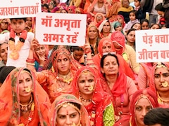 नहीं कटेंगे खेजड़ी वृक्ष! आंदोलन के 11वें दिन राजस्थान सरकार ने भेजी चिट्ठी, बनाएगी कानून