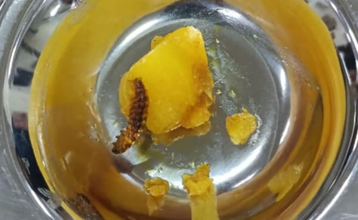 Latest and Breaking News on NDTV