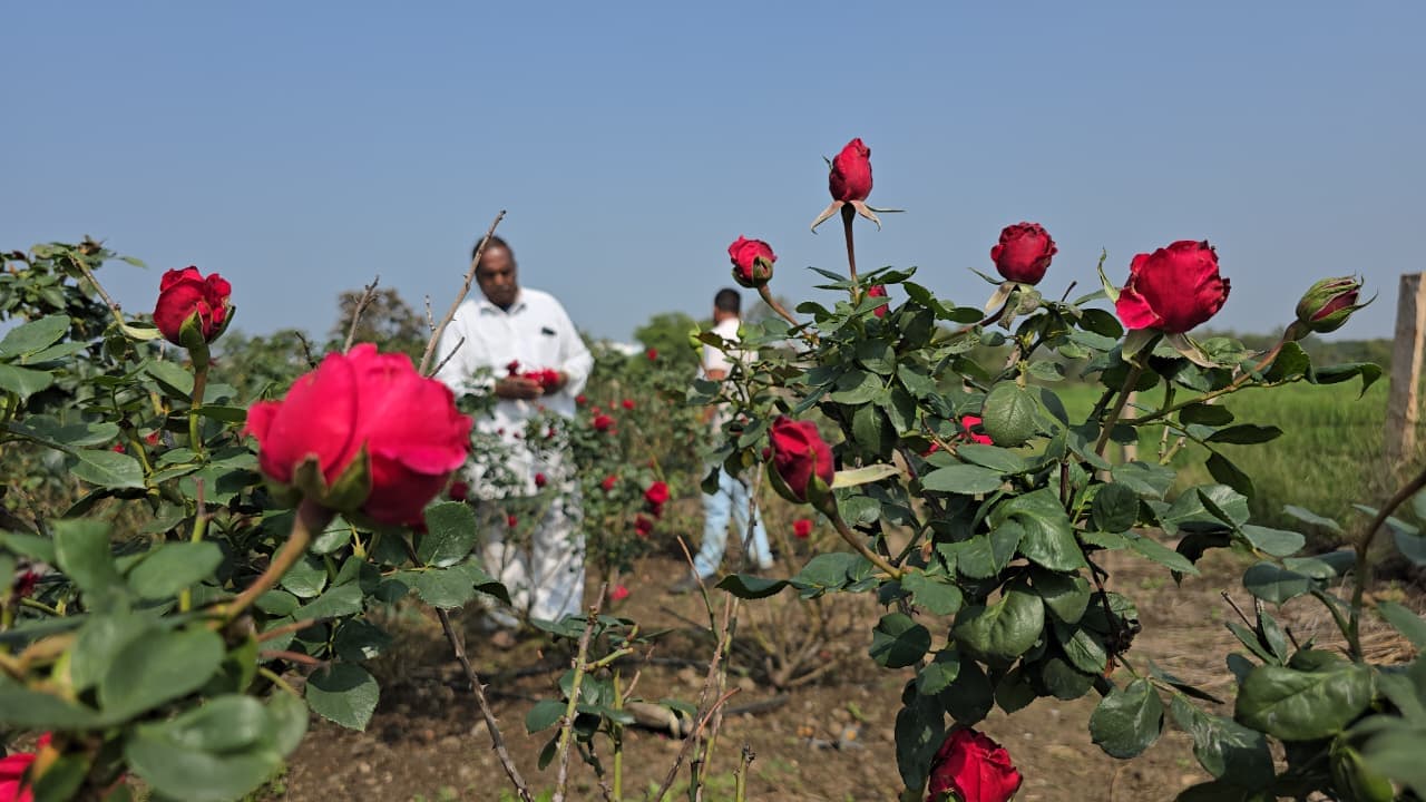 Latest and Breaking News on NDTV