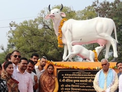 मंत्री मदन दिलावर ने निकाली नई 'नौकरी'! गाय चराओ, 10 हजार पाओ