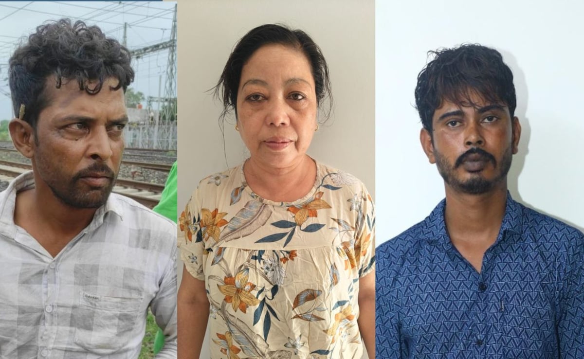 'टाइगर स्टेट’ में बाघों पर दोहरी मार! अंतरराष्ट्रीय तस्कर जेल में, लेकिन मौतों से हिल गया हाईकोर्ट