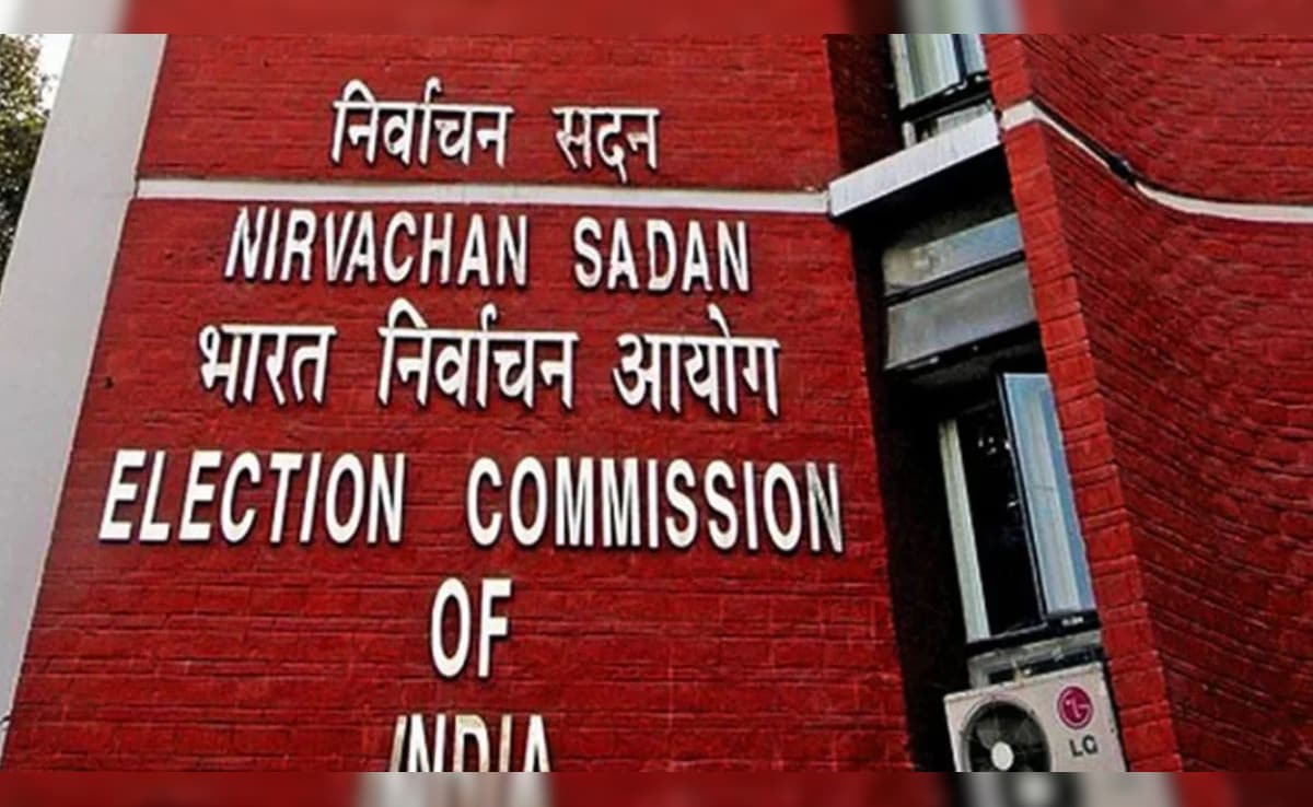 The Art of Baking: From Classic Bread to Artisan Pastries