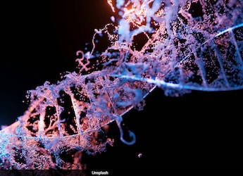 Lack Of Protein May Trigger DNA Damage And Reduce Lifespans In Females, Finds Study