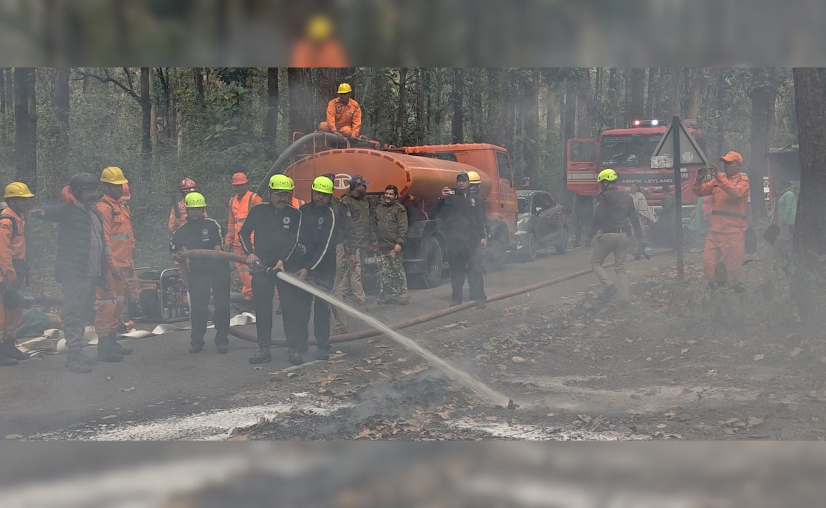 Latest and Breaking News on NDTV Latest and Breaking News on NDTV