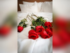 Valentine's Day 2026: पार्टनर को दें सरप्राइज, वैलेंटाइन डे पर ऐसे सजाएं बेडरूम