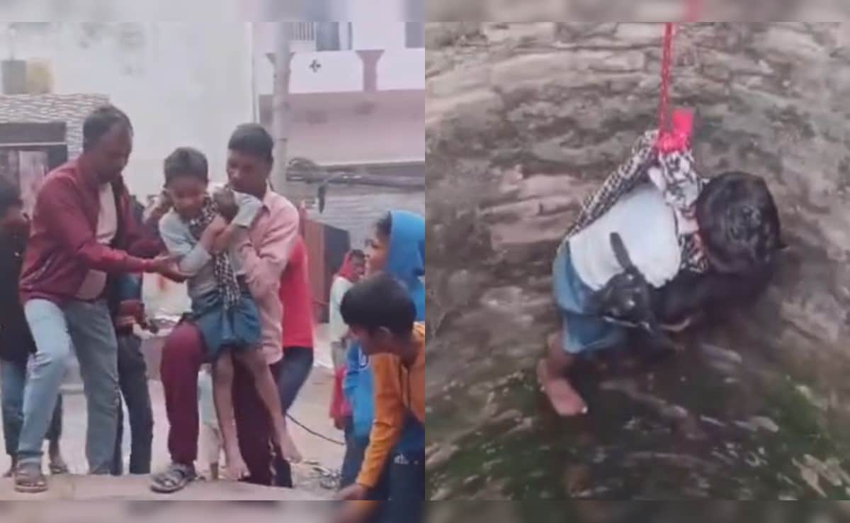 The Art of Baking: From Classic Bread to Artisan Pastries