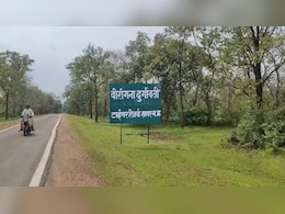 सागर के टाइगर रिजर्व में सागौन तस्करी रोकने पहुंचे वनपाल पर कुल्हाड़ी से हमला, हालत नाजुक