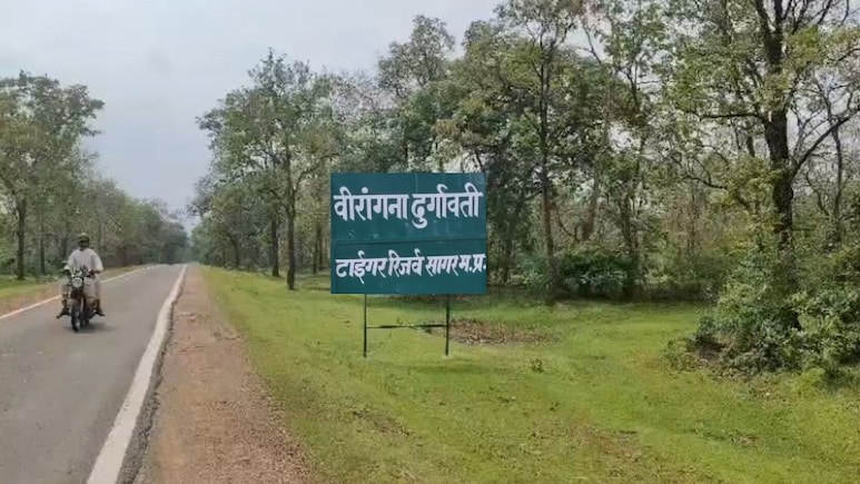 सागर के टाइगर रिजर्व में सागौन तस्करी रोकने पहुंचे वनपाल पर कुल्हाड़ी से हमला, हालत नाजुक