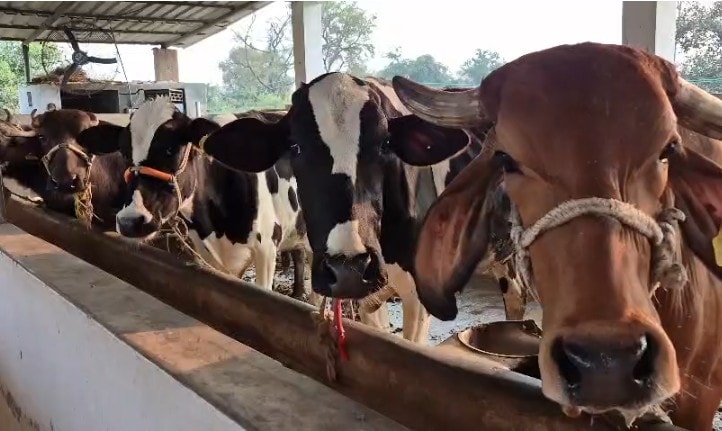 Latest and Breaking News on NDTV