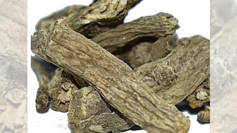 ये दवा नहीं मां का आश&zwj;िर्वाद है, जबसे द&zwj;िल्&zwj;ली आया हूं एंटी बायोट&zwj;िक खा-खाकर परेशान हूं, मेरे पहाड़ों का चोरू हर लेता था हर दर्द