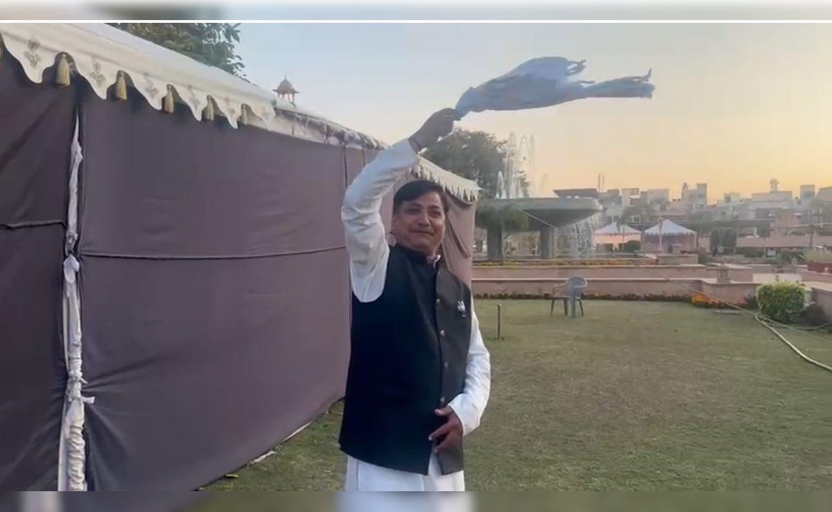 Latest and Breaking News on NDTV