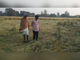 एमपी में अचानक बारिश से फसलें बर्बाद, किसानों को मुआवजा देगी सरकार; IMD ने फिर जारी किया बारिश का अलर्ट