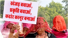 Rajasthan Politics: भजनलाल सरकार के आश्वासन के बाद भी क्यों नहीं थम रहा 'खेजड़ी आंदोलन'? ये हैं 5 बड़ी वजहें