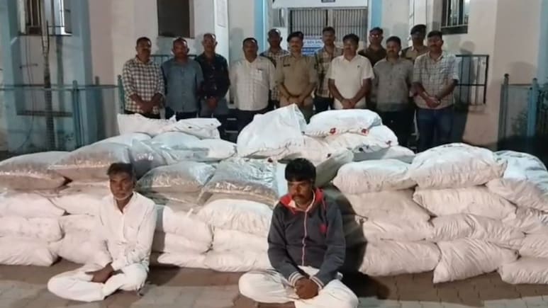 Drugs Worth Rs 11 Crore Seized From Ganja, Opium Farm In Gujarat